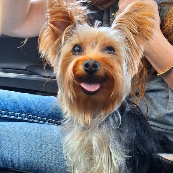 Meet your Posher, Rick & Autumn Shepard - Picture 6 of 16